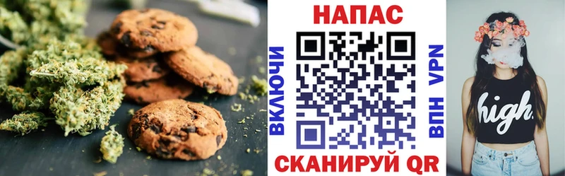 Купить закладки  Нязепетровск  Canna-Cookies марихуана 