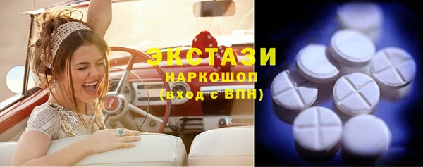 первитин Инсар